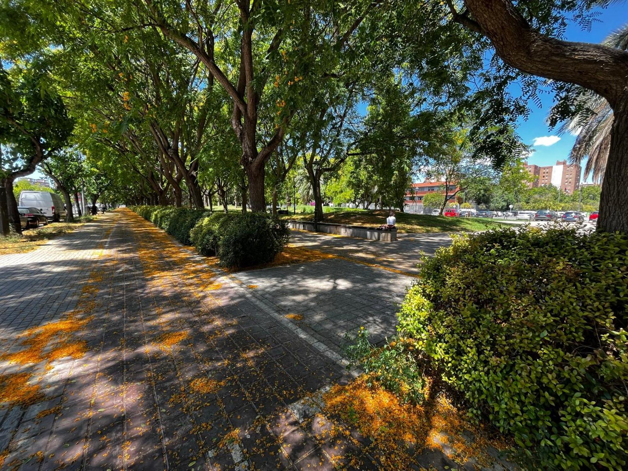 Appartamento Alojame Valenza Esterno foto