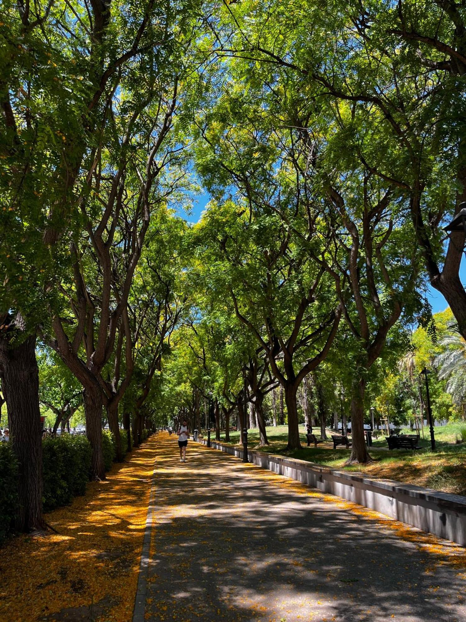 Appartamento Alojame Valenza Esterno foto